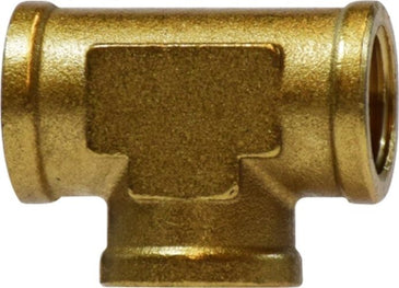 251646813.jpg