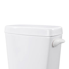 JONES STEPHENS Jones Stephens T01421 White Universal Tank Lever