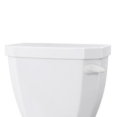 JONES STEPHENS Jones Stephens T01421 White Universal Tank Lever