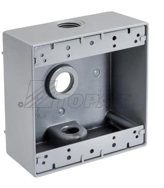 TOPAZ Topaz WB23100 Weatherproof Box 1 2-Gang 3-Hole Replacement MPN