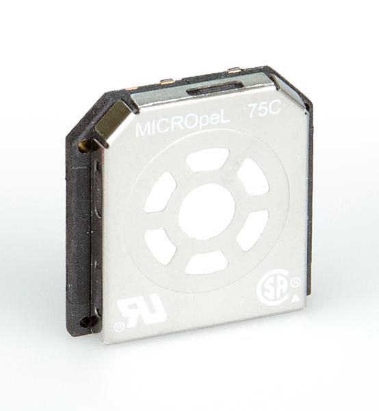 254996215.jpg