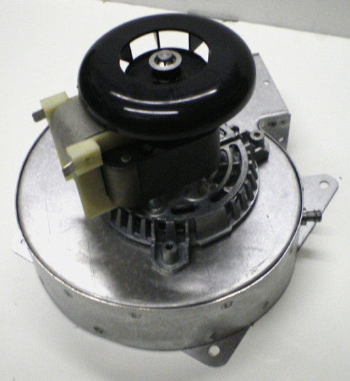 254998679.jpg
