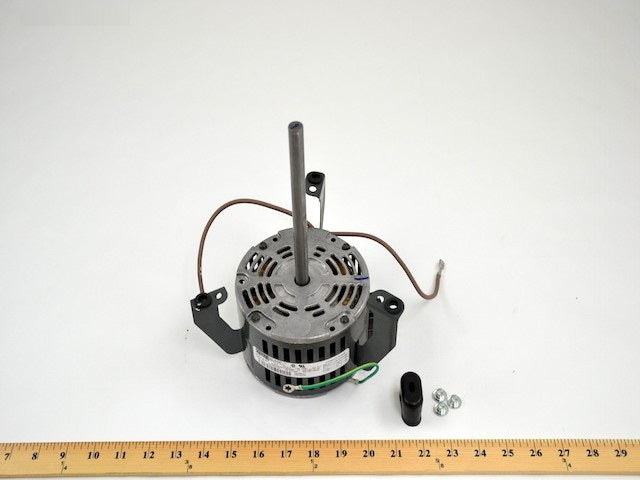 254999886.jpg