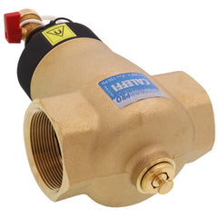 CALEFFI Caleffi 546309AM DirtMagPRO 2 FNPT Replacement MPN