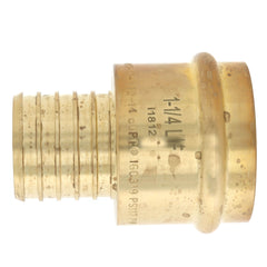 WEBSTONE Webstone H-16805W 1-1/4 PEX Crimp x Copper Press Brass Adapter