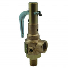 APOLLO VALVES Apollo 19KGFK125 Safety Relief Valve 1-1/4 x 1/2 in