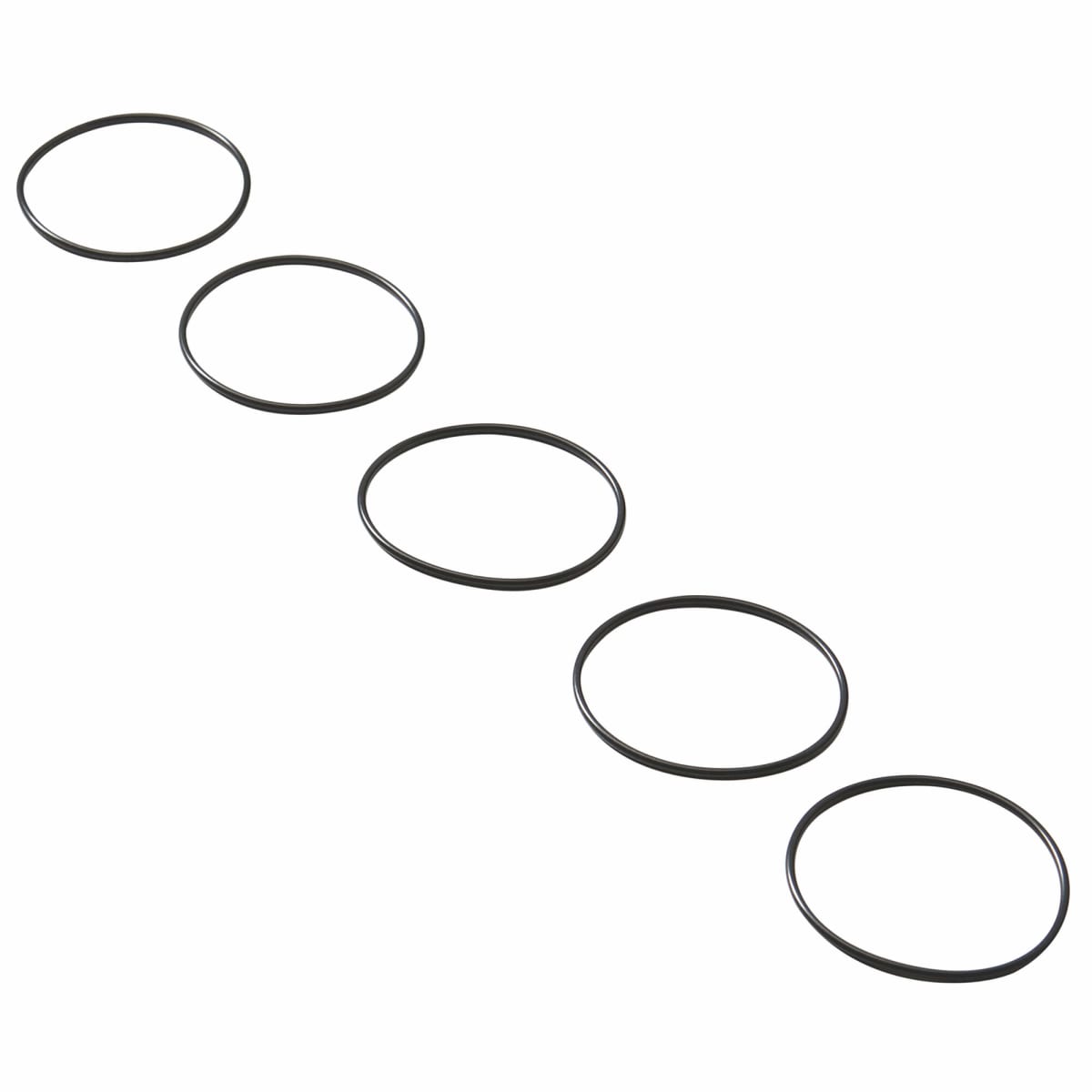 257449564.jpg