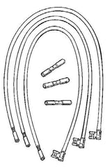 257450095.jpg