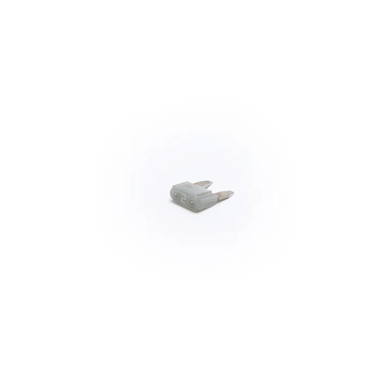 257614669.webp