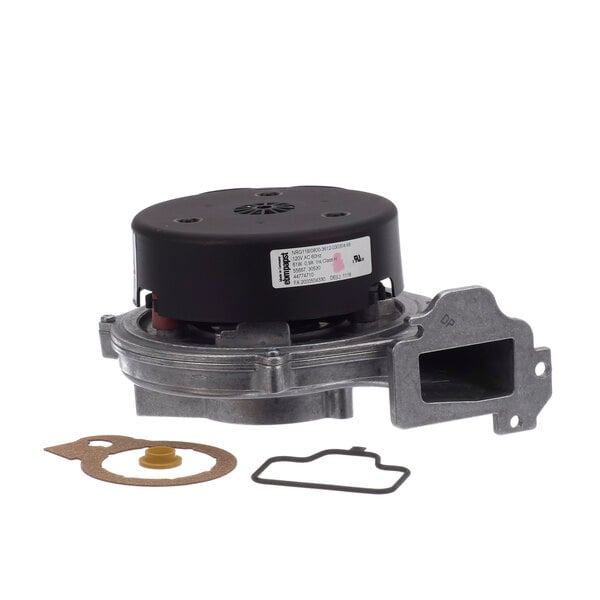 259272729.jpg