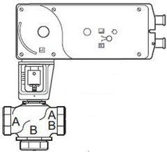259276310.jpg