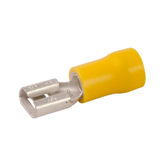 259350731.png