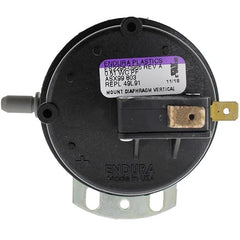 259351023.jpg