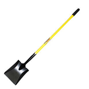 262424800.png