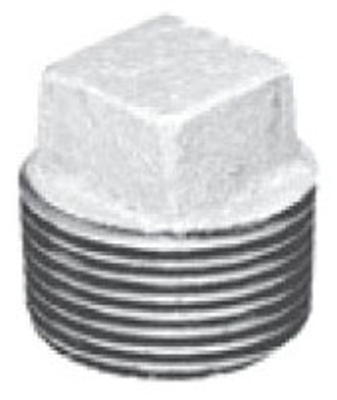 262425706.jpg