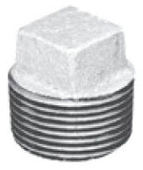 262425706.jpg