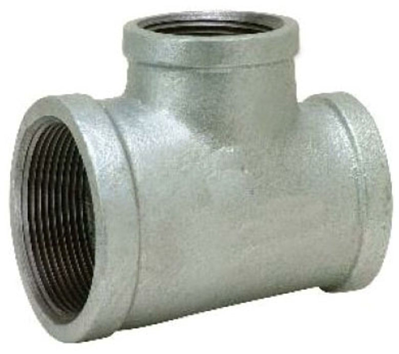 262425709.jpg