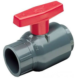 262427475.jpg