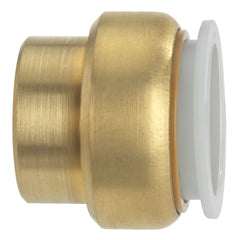 WATTS Watts LF4745-14 Quick Connect End Stop Fittings 3/4 inches