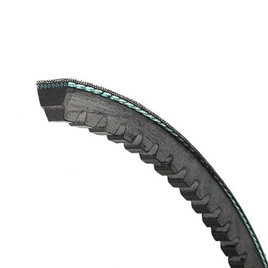 263001260.jpg