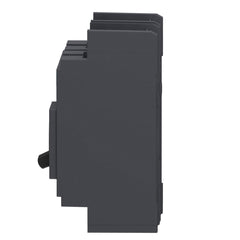 SCHNEIDER ELECTRIC Square D QBL22100 Molded Case Circuit Breaker 100A 240V 2P Thermal Magnetic