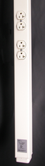 LEGRAND Wiremold 25DTP-4 Tpp Ivry 2-20A Duplex 10ft. Replacement MPN