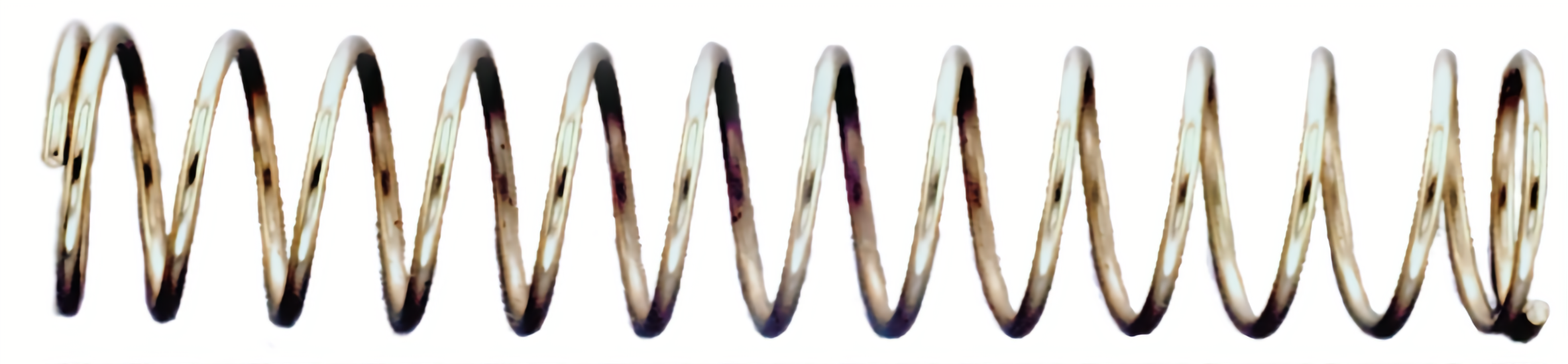 271891101.png