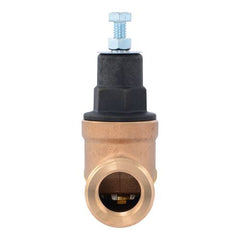 CASH ACME CASH ACME PVA16P-SUTH-60 EB45-U Single Union Threaded Pressure Regulating Valve
