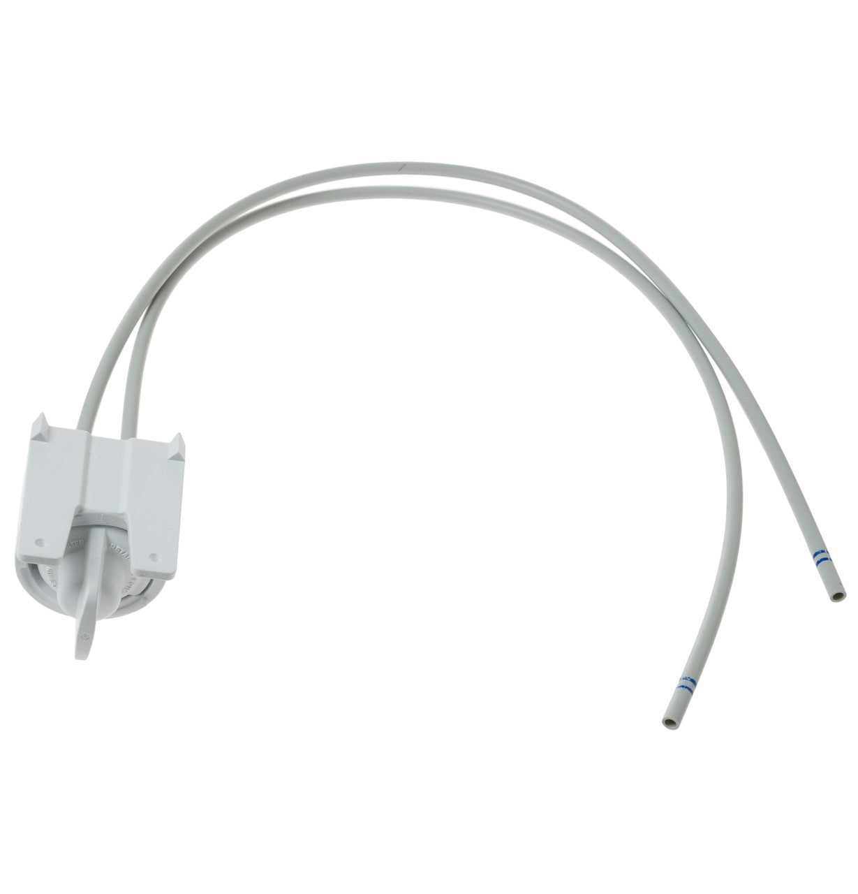 273767788.jpg