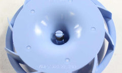 273770074.jpg