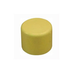 GENOVA Genova 50155 1/2-Inch CPVC Cap