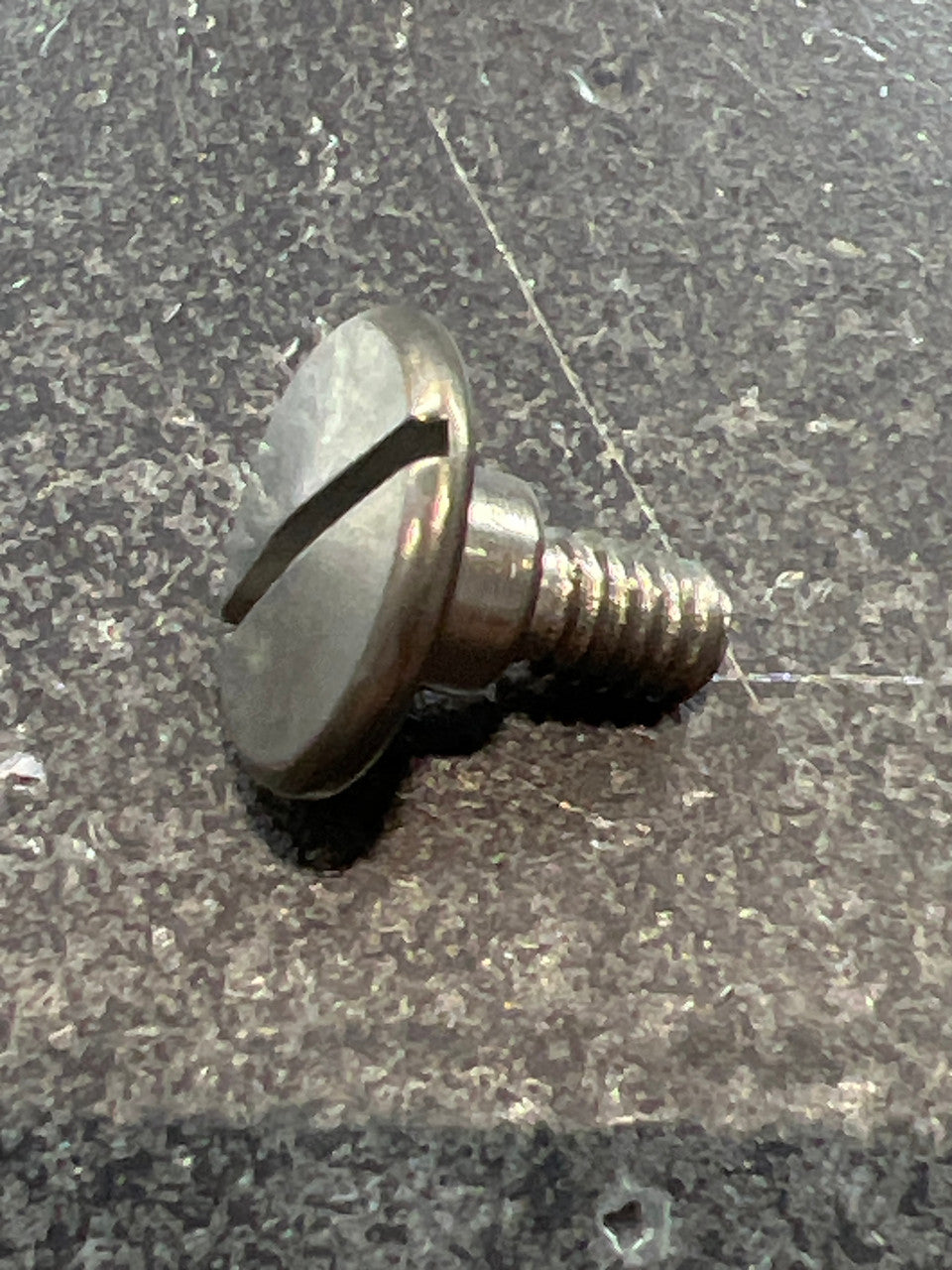 277550945.jpg