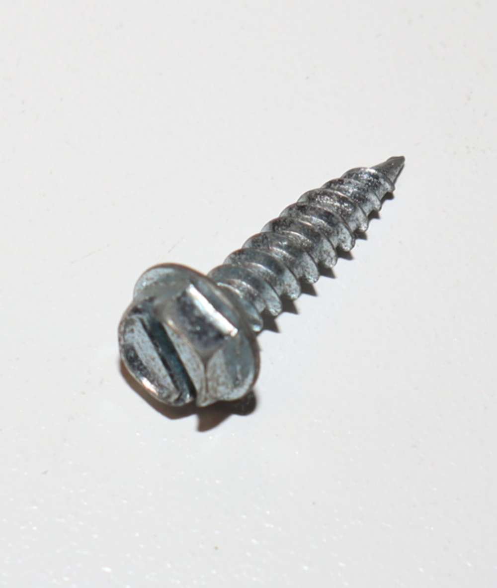 278116638.jpg