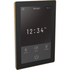 BRIZO Brizo 8CN-600S-GL-L Display Interface