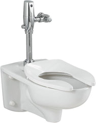 AMERICAN STANDARD AMERICAN STANDARD 3351.511.020 Afwall Millennium Wall-Hung Toilet System With Touchless Selectronic Piston Flush Valve 1.1 gpf