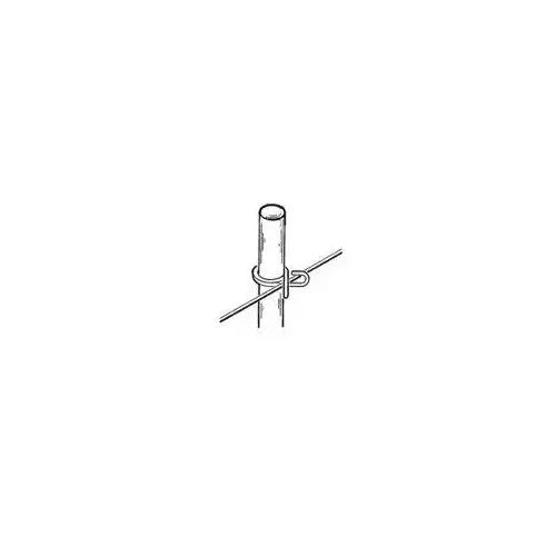 278127300.webp