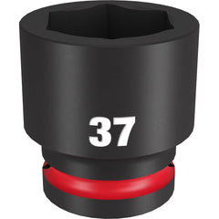 278135004.jpg