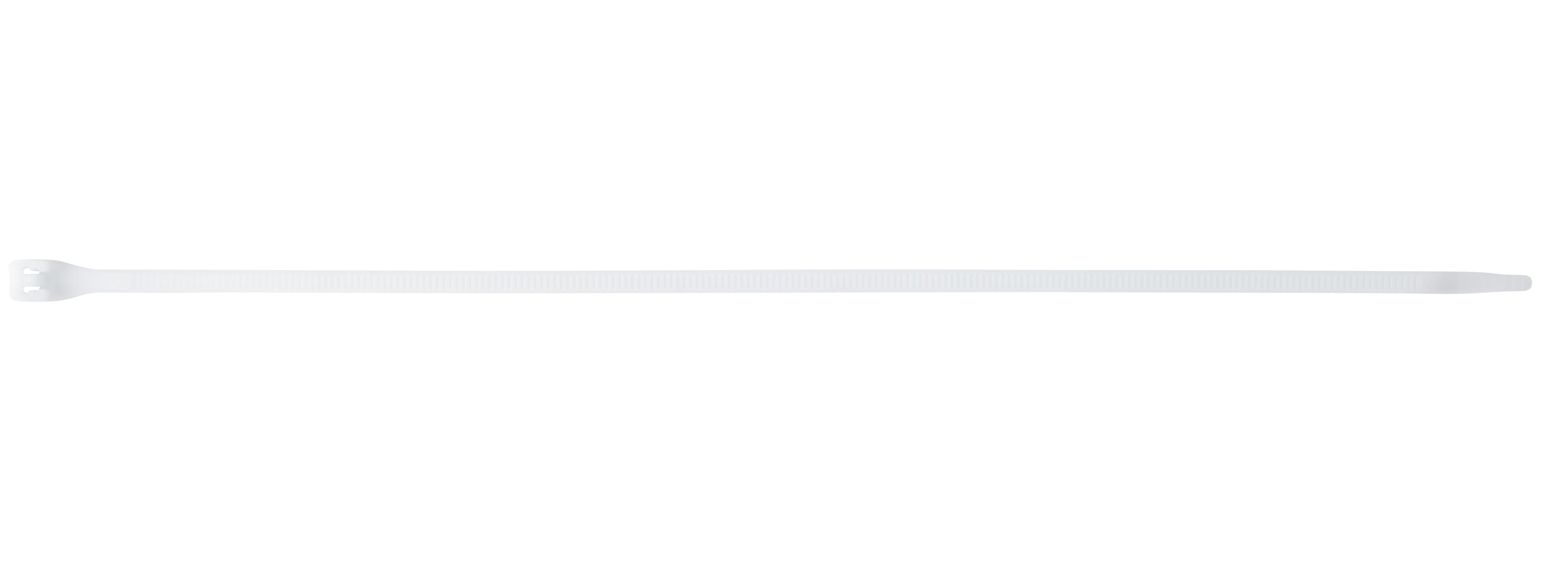 278141108.jpg