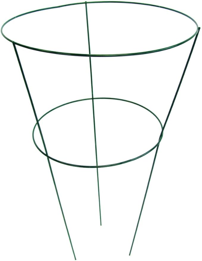 278141277.jpg