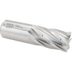 SECO TOOLS Seco 17011876 Square End Mill 1-1/4 in 6 Flute Cobalt