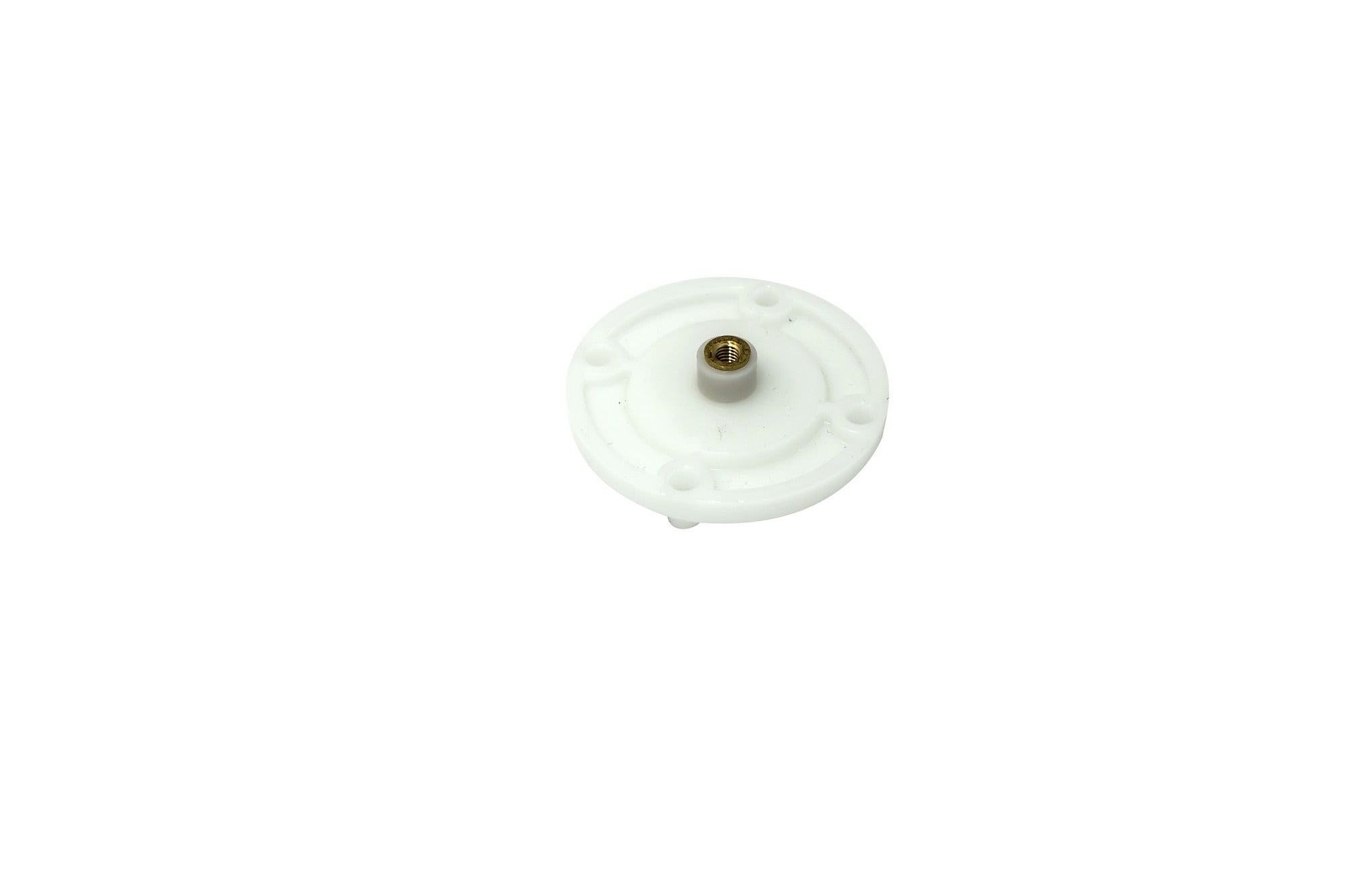 283714531.jpg