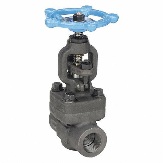 SHARPE Sharpe 4371006350 Globe Valve, Class 800, 1/4 In., FNPT