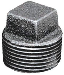 284707889.jpg