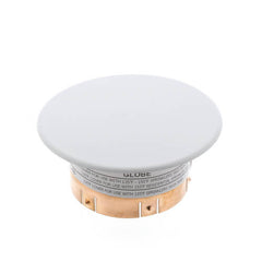 Globe Fire Sprinkler Globe Fire Sprinkler 332892 "The Inch" Cover Plate for GL4906 155°F