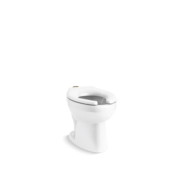 284993209.jpg