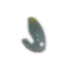 285435112.jpg