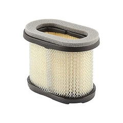 BRIGGS & STRATTON Briggs & Stratton 697029 Filter-A/C Cartridge