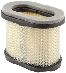 BRIGGS & STRATTON Briggs & Stratton 697029 Filter-A/C Cartridge