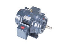 MARATHON MOTORS Marathon Motors GT0069 General Purpose Motor 30 HP