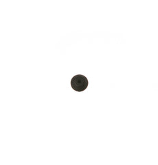285444859.jpg